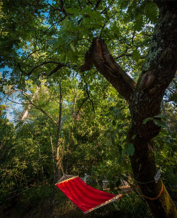 Campingpltze in der Provence im Gard